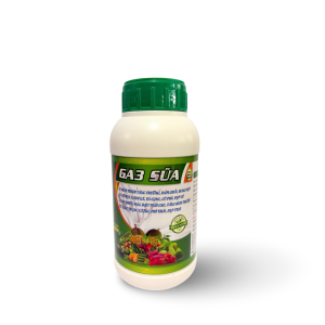 GA3 SỮA