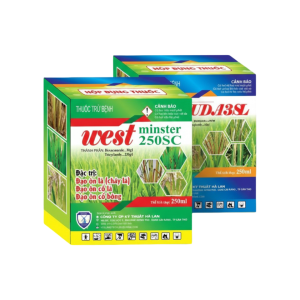 Bộ đôi Hà Lan 2